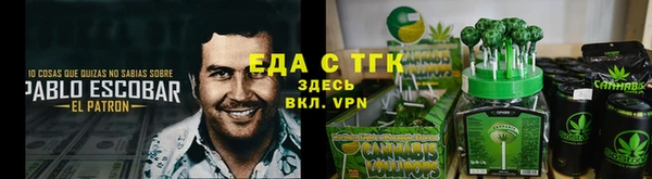 мдпв Вяземский