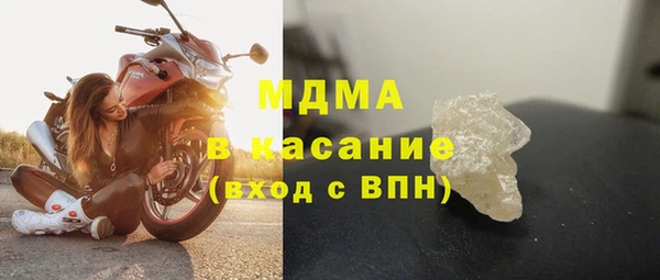 прущие грибы Абинск