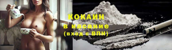 прущие грибы Абинск
