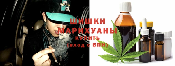 прущие грибы Абинск