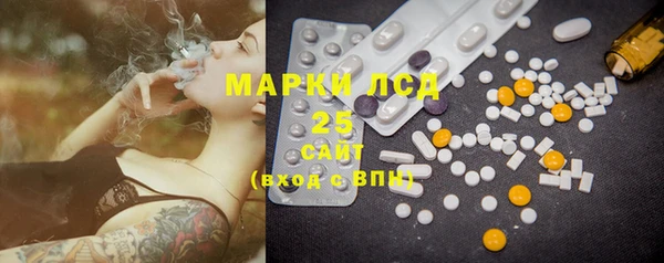 прущие грибы Абинск