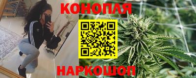 прущие грибы Кулебаки