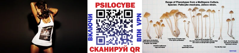 Псилоцибиновые грибы Magic Shrooms  дарк нет формула  Камень-на-Оби 