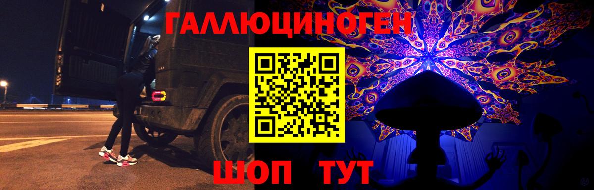 Псилоцибиновые грибы Psilocybe Камень-на-Оби
