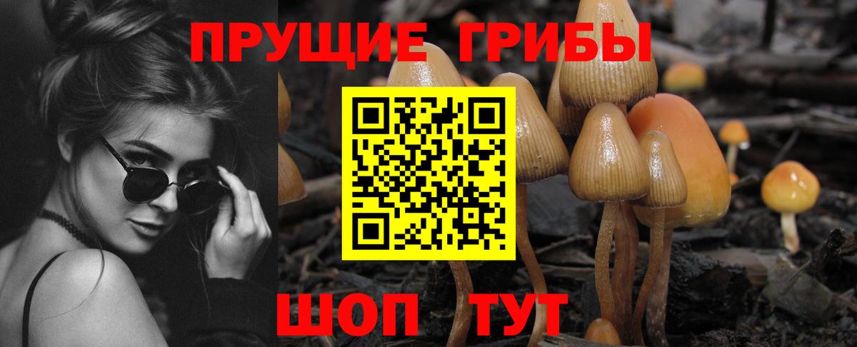 Псилоцибиновые грибы MAGIC MUSHROOMS  Вход с VPN  Псилоцибиновые грибы мухоморы  цены   Камень-на-Оби 